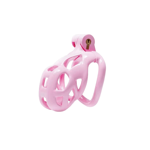 Cobra Nano Kit (Pink)