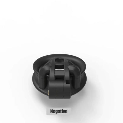 Cobra Positive/Negative Chastity Cage
