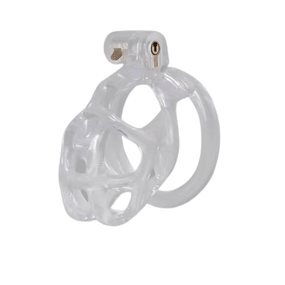 Ice Vision Cobra S Kit (Clear)