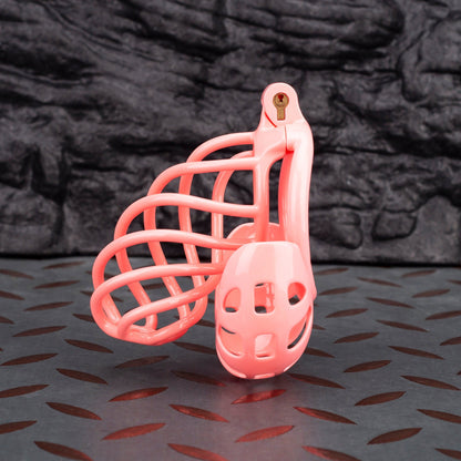 Custom Chastity Cage Curved Balls Penis Ring