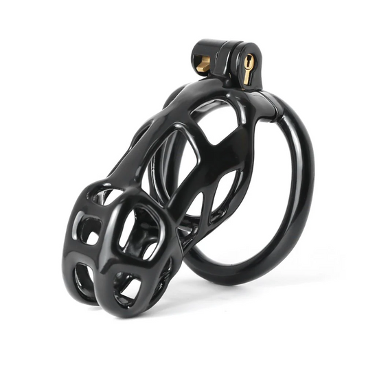 The Guardian Cock Chastity Cage