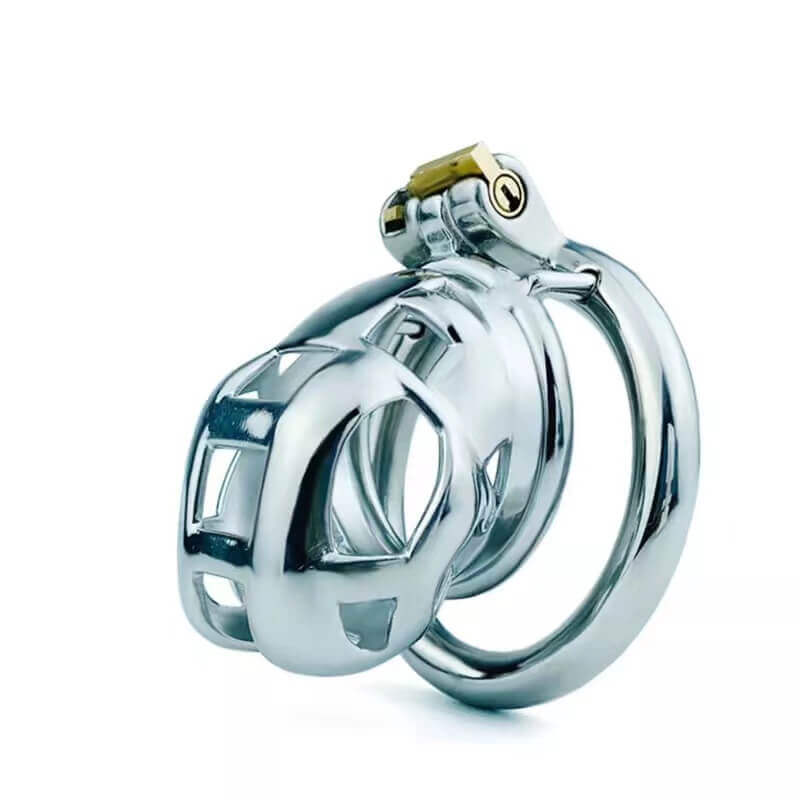 S Cobra Stainless Steel Chastity Kit (Concealed Lock)