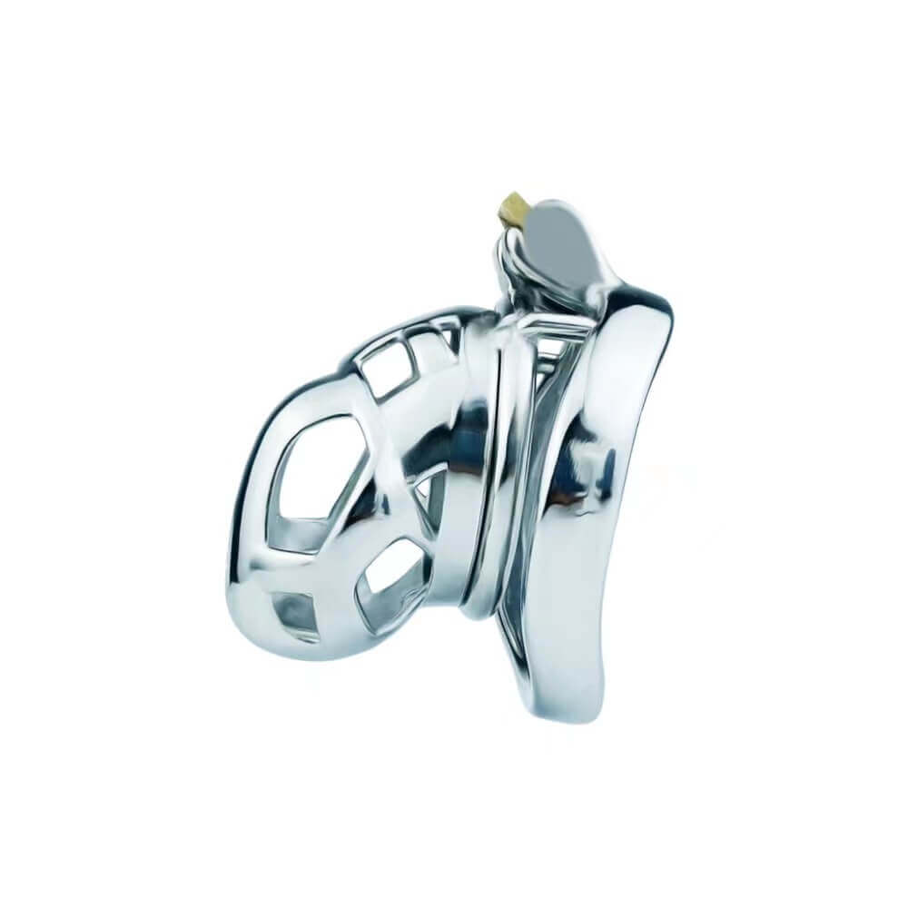 S Cobra Stainless Steel Chastity Kit (Concealed Lock)